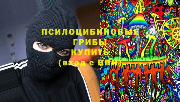 ECSTASY Алексин
