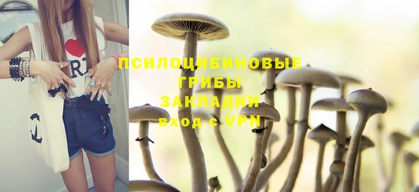 стафф Алексеевка