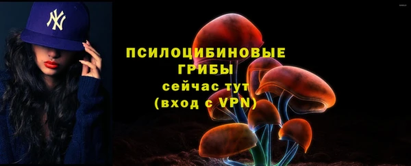 стафф Алексеевка