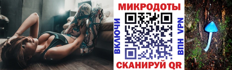 Псилоцибиновые грибы мицелий  купить закладку  Грязовец 